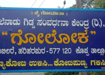 ‘ಗೋಲೋಕ’ ಗೋ ಶಾಲೆಯ ಮೇವಿಗೆ ಬೆಂಕಿ: ಬೇಕಿದೆ ನೆರವು