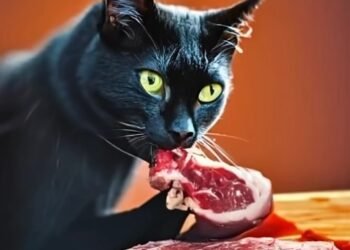 ದೇವಸ್ಥಾನದೊಳಗೆ ಮಾಂಸ ಪತ್ತೆ: ಒಳಗೆ ತಂದಿದ್ಯಾರು? ಸಿಸಿಟಿವಿಯಲ್ಲಿ ಬಯಲಾಯ್ತು ರಹಸ್ಯ!