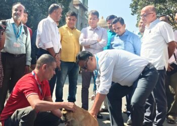 1.84 ಲಕ್ಷ ಬೀದಿ ನಾಯಿಗಳಿಗೆ ‘ಸಂಯುಕ್ತ ಲಸಿಕೆ’!