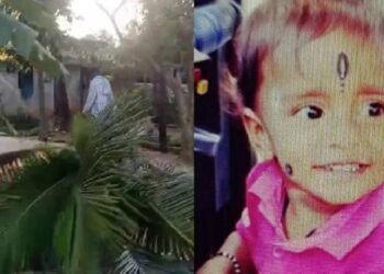 ತೆಂಗಿನ ಮರ ಬಿದ್ದು 3 ವರ್ಷದ ಬಾಲಕಿ ದಾರುಣ ಸಾವು