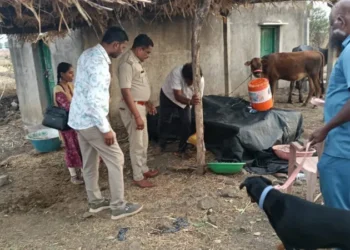 ತೊಗರಿ ಹೊಟ್ಟಿನಲ್ಲಿ ಬಚ್ಚಿಟ್ಟಿದ್ದ 7 ಲಕ್ಷಕ್ಕೂ ಅಧಿಕ ಗಾಂಜಾ ವಶಕ್ಕೆ