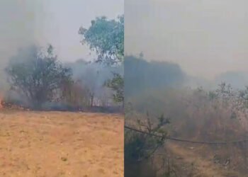 ದಿ. ಲೀಲಾವತಿ ಎಸ್ಟೇಟ್ ಬಳಿ ಅಗ್ನಿ ಅವಘಡ