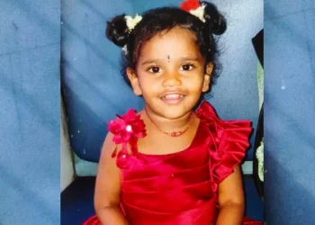 ಮರ ಬಿದ್ದು 3 ವರ್ಷದ ಬಾಲಕಿ ಸಾವು