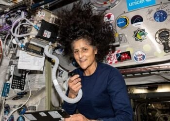 Sunita Williams: ಭೂಮಿಗೆ ಮರಳಿದ ಸುನೀತಾ ವಿಲಿಯಮ್ಸ್ ಗೆ ಅಗ್ನಿ ಪರೀಕ್ಷೆ; 45 ದಿನ ಅವರ ಜೀವನ ಹೇಗಿರುತ್ತೆ?