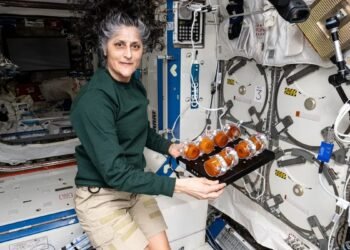 Sunita Williams: 9 ತಿಂಗಳು ಬಾಹ್ಯಾಕಾಶದಲ್ಲೇ ಕಳೆದ ಸುನೀತಾ ವಿಲಿಯಮ್ಸ್ ಗೆ ಸಿಗುವ ದುಡ್ಡೆಷ್ಟು?
