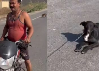 Viral Video: ಶ್ವಾನಕ್ಕೆ ಚೈನ್ ಕಟ್ಟಿ, ಬೈಕಿಗೆ ಬಿಗಿದು ಎಳೆದ ಕ್ರೂರಿ; ವೈರಲ್ ವೀಡಿಯೋ ಇಲ್ಲಿದೆ