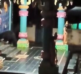 ರಂಗನಾಥ್ ಸ್ವಾಮಿ ದೇವಸ್ಥಾನದಲ್ಲಿ ಕರಡಿ ಪ್ರತ್ಯಕ್ಷ: ಆತಂಕ