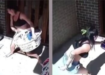 ಅಮ್ಮನೆಂದರೆ ಅಮ್ಮನೇ…;ವಿಷಕಾರಿ ಹಾವಿನಿಂದ ಮಕ್ಕಳನ್ನು ರಕ್ಷಿಸಿದ ತಾಯಿಯ ಧೈರ್ಯವಂತಿಕೆ ವೈರಲ್