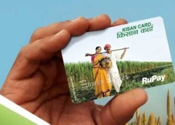 Kisan Credit Card: ಕಿಸಾನ್ ಕ್ರೆಡಿಟ್ ಕಾರ್ಡ್ ಇದ್ದರೆ ರೈತರಿಗೆ 3 ಲಕ್ಷ ರೂ.ವರೆಗೆ ಸಾಲ; ಅರ್ಜಿ ಸಲ್ಲಿಸೋದು ಹೇಗೆ?