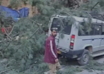 ಭಾರೀ ಬಿರುಗಾಳಿಗೆ ಉರುಳಿದ ಮರ: 6 ಜನ ಬಲಿ