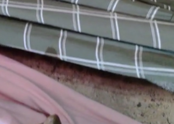 ಪ್ಯಾಂಟ್ ಒಳಗೆ ಬುಸುಗುಡುತ್ತಿದ್ದ ನಾಗಪ್ಪ!