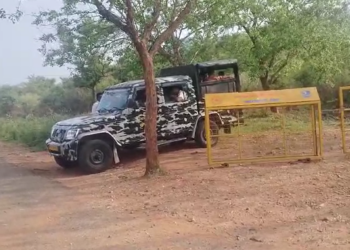 ಬಂಡೀಪುರ ಅರಣ್ಯದಲ್ಲಿ ಮತ್ತೊಂದು ಯಡವಟ್ಟು!