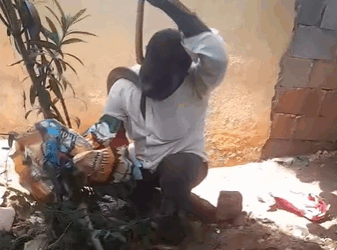 ಹಾವು ರಕ್ಷಣೆ ಮಾಡುವಾಗ ಕೊರಳಿಗೆ ಸುತ್ತಿಕೊಂಡ 7 ಅಡಿ ಉದ್ದದ ಹಾವು