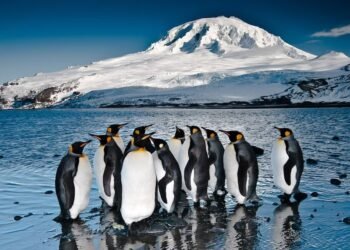 Tariff War: ಜನರೇ ಇಲ್ಲದ ದ್ವೀಪಗಳ ಮೇಲೂ ಟ್ರಂಪ್ ಸುಂಕ ಸಮರ!