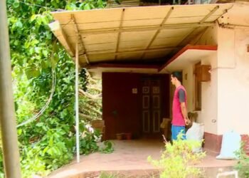 ಮನೆಗಳ ಮೇಲೆ ಬಿದ್ದ ಆಲದ ಮೇಲೆ: ದಂಪತಿ ಗಾಯ