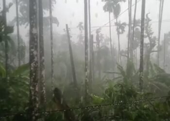 ಕಾಫಿನಾಡಿನಲ್ಲಿ ಮುಂದುವರೆದ ಮಳೆ: ಒಂದೇ ಗ್ರಾಮದ 20 ಕ್ಕೂ ಅಧಿಕ ಮನೆಗಳಿಗೆ ಹಾನಿ