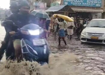 ಹಾವೇರಿಯಲ್ಲಿ ವರುಣಾರ್ಭಟಕ್ಕೆ ನೆಲಕಚ್ಚಿದ ಬೃಹತ್ ಮರಗಳು!