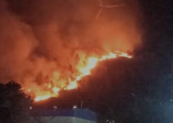 ಕುಂಚಿಗನಾಳ್ ಕಣಿವೆ ಗುಡ್ಡಕ್ಕೆ ಬೆಂಕಿ!