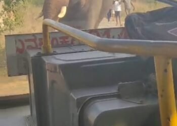ಬಿಎಂಟಿಸಿ ಬಸ್ ಅಡ್ಡಗಟ್ಟಿದ ಆನೆಗಳ ಹಿಂಡು!