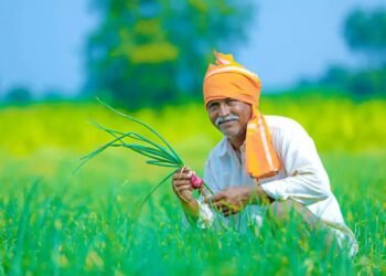 ರೈತರು ಫಸಲ್ ಬಿಮಾ ಯೋಜನೆ ಅನ್ವಯ ಬೆಳೆ ವಿಮೆ ಪಡೆಯುವುದು ಹೇಗೆ? ಇಲ್ಲಿದೆ ಮಾಹಿತಿ