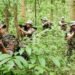 Naxal Encounter: 1,000 ನಕ್ಸಲರನ್ನು ಸುತ್ತುವರಿದ 20,000 ಭದ್ರತಾ ಸಿಬ್ಬಂದಿ: ಛತ್ತೀಸ್ಗಢದಲ್ಲಿ ನಡೆಯುವುದೇ ಇತಿಹಾಸದ ಅತಿದೊಡ್ಡ ಕಾರ್ಯಾಚರಣೆ?
