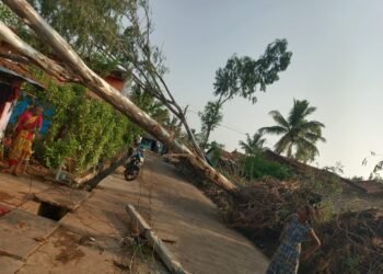 ಮನೆ ಮೇಲೆ ಬಿದ್ದ ಬೃಹತ್ ಮರ