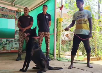 ದೇಶ ಸೇವೆಗಾಗಿ ಶ್ವಾನ ನೀಡುತ್ತಿರುವ ವ್ಯಕ್ತಿ