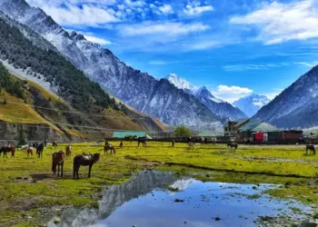 ಆಹಾರ ಪದಾರ್ಥ ಸಂಗ್ರಹಿಸುವಂತೆ ನಾಗರಿಕರಿಗೆ ಸೂಚಿಸಿದ ಪಾಕ್