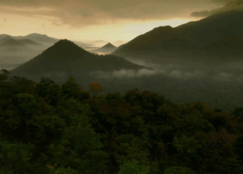 ಜೀವನದಿ ಕಾವೇರಿ ಸಾಕ್ಷ್ಯ ಚಿತ್ರ ಬಿಡುಗಡೆ
