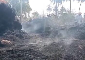 ಅನ್ನದಾತನ ಬಣವಿಗೆ ಬೆಂಕಿ