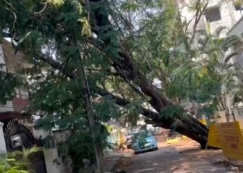 ಅಕಾಲಿಕ ಮಳೆ ಅವಾಂತರ: ಜನ ಜೀವನ ಅಸ್ತವ್ಯಸ್ತ