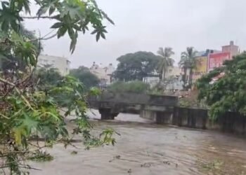 ಹೊಸಕೆರೆಹಳ್ಳಿ ಕೆರೆ ಕೋಡಿ ಒಡೆಯುವ ಆತಂಕ