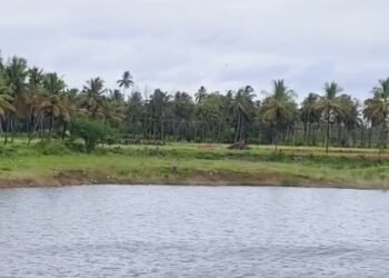 ಖಾಕಿಗೆ ಸವಾಲಾದ ಮೈಸೂರು ಮರ್ಡರ್‌
