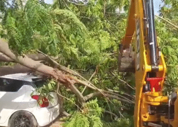 ನಿಲ್ಲಿಸಿದ್ದ ಕಾರಿನ ಮೇಲೆ ಉರುಳಿ ಬಿದ್ದ ಮರ