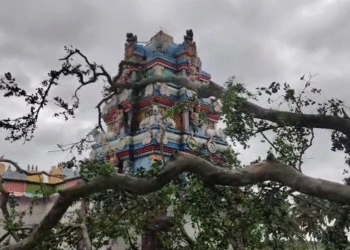 ಮಳೆಗೆ ಮರ ಬಿದ್ದು ಗೋಪುರದ ವಿಗ್ರಹ ಬಿರುಕು!