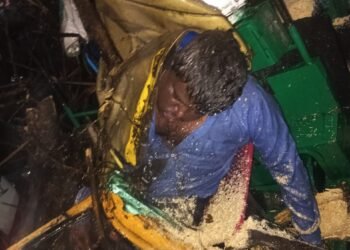 ಆಟೋ ಮೇಲೆ ಬಿದ್ದ ಮರ: ಚಾಲಕ ಸಾವು