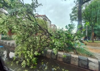 ದೆಹಲಿಯಲ್ಲಿ ಬಿರುಗಾಳಿ ಸಹಿತ ಭಾರೀ ಮಳೆ: 4 ಸಾವು, 200 ವಿಮಾನಗಳ ಸಂಚಾರ ವಿಳಂಬ