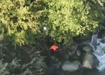 Viral Video: ಕಾಶ್ಮೀರದಲ್ಲಿ ಉಗ್ರರಿಗೆ ನೆರವಾದ ಆರೋಪ ಹೊತ್ತಿದ್ದ ಯುವಕ ನದಿಗೆ ಹಾರಿ ಸಾವು: ವಿಡಿಯೋ ವೈರಲ್