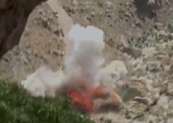 ಹಿಗ್ಗಾಮುಗ್ಗಾ ಒದೆ ತಿಂದು ಮಲಗಿದ ಪಾಕಿಸ್ತಾನ