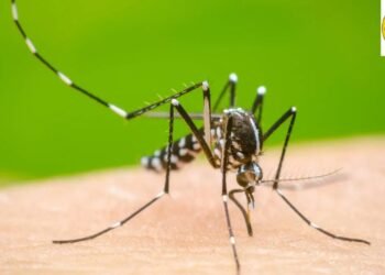 ರಾಜ್ಯಕ್ಕೆ ಡೆಂಗ್ಯೂ ಆತಂಕ: ಆರೋಗ್ಯ ಇಲಾಖೆ ಅಲರ್ಟ್