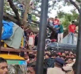 ಮರವೇರಿ ಕುಳಿತು ಮೊಂಡಾಟ ನಡೆಸುತ್ತಿರುವ ಅಭಿಮಾನಿಗಳು