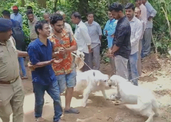 ಮಾಲೀಕನನ್ನು ಕೊನೆಯದಾಗಿ ಮುದ್ದಾಡಿದ ಶ್ವಾನಗಳು