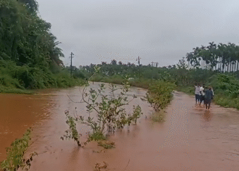 ಅಡಿಕೆ ತೋಟಕ್ಕೆ ನುಗ್ಗಿದ ನೀರು
