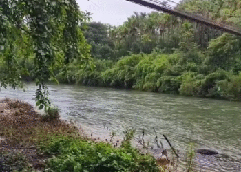 ಧಾರಾಕಾರ ಮಳೆಗೆ ಕಂಗಾಲಾದ ಮಲೆನಾಡಿಗರು