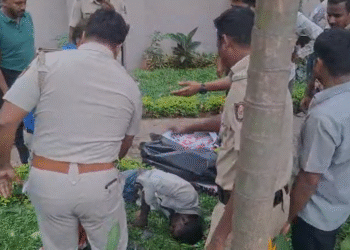 50 ಅಡಿ ಎತ್ತರದ ಮರ ಹತ್ತಿ ಯುವಕನ ಹುಚ್ಚಾಟ