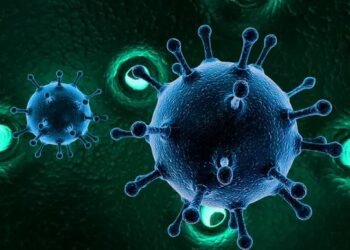 ಮತ್ತೆ ಕೋವಿಡ್ ಹಗರಣದ ಬೆನ್ನು ಬಿದ್ದ ಸರ್ಕಾರ; 101 ಅಧಿಕಾರಿಗಳ ನೋಟಿಸ್ ನಲ್ಲಿರೋದೇನು?