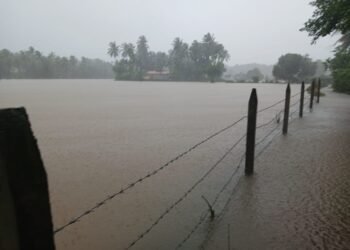 ಅವಾಂತರಗಳ ಸರಮಾಲೆ