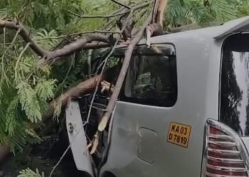 ಸಿಎಂ ನಿವಾಸದ ಸಮೀಪ ಧರೆಗುರುಳಿದ ದೊಡ್ಡ ಮರ