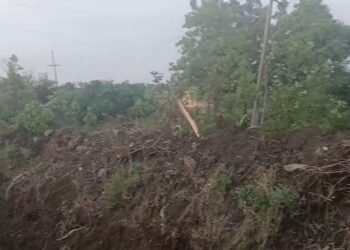 ಸರ್ಕಾರಿ ಜಾಗದಲ್ಲಿದ್ದ ಮರ ಕಡಿದ ಗ್ರಾಪಂ ಸದಸ್ಯ