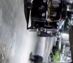 ಕರಡಿಯಿಂದ ಜಸ್ಟ್ ಮಿಸ್ ಆದ ವ್ಯಕ್ತಿ